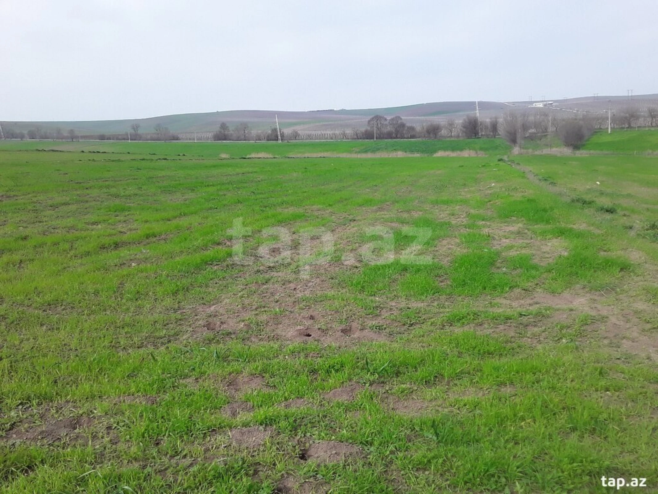 Satılır torpaq sahəsi