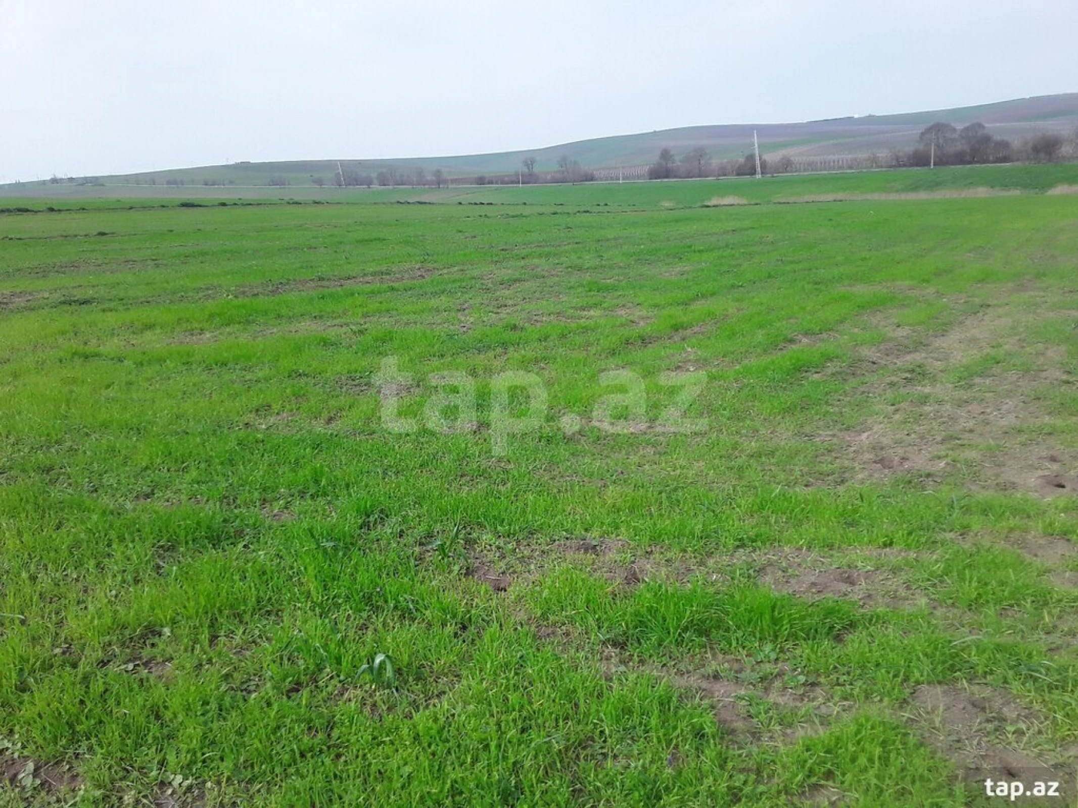 Satılır torpaq sahəsi