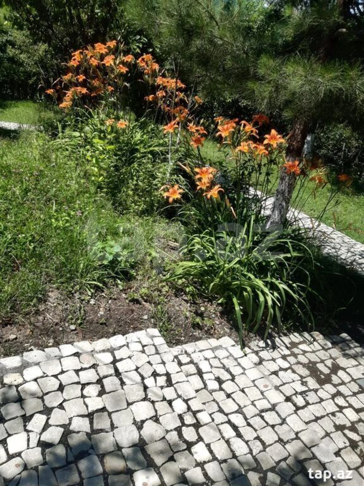 Kirayə verilir 3 otaqlı həyət evi