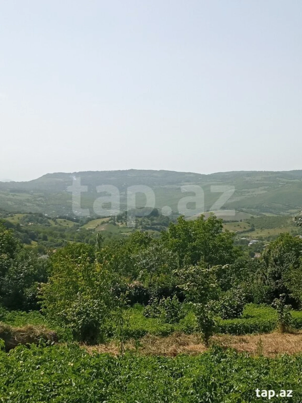 Kirayə verilir 3 otaqlı həyət evi