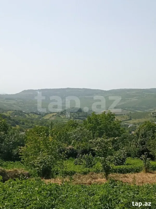 Kirayə verilir 3 otaqlı həyət evi