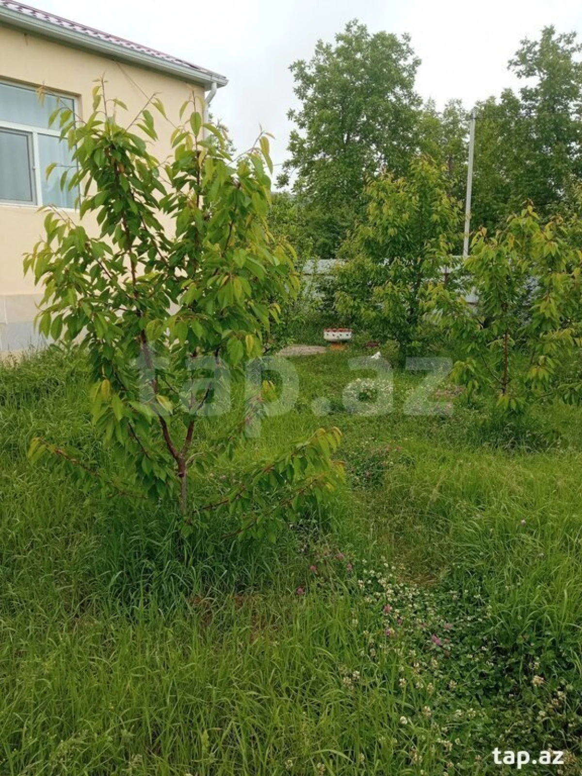 Kirayə verilir 3 otaqlı həyət evi