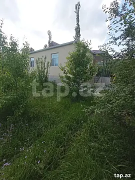 Kirayə verilir 3 otaqlı həyət evi — Quba 3 otaq
