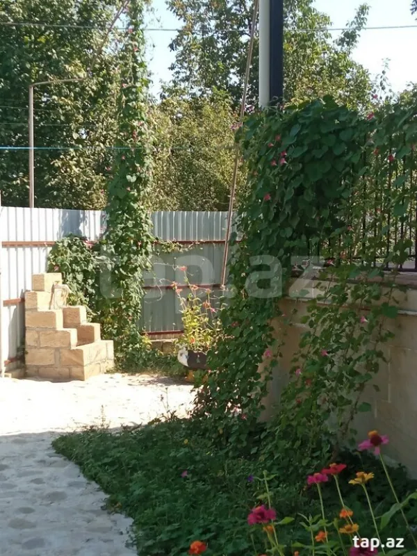 Kirayə verilir 3 otaqlı həyət evi