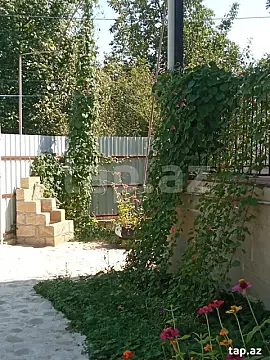 Kirayə verilir 3 otaqlı həyət evi