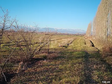 Satılır torpaq sahəsi