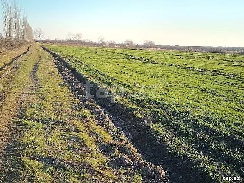 Satılır torpaq sahəsi