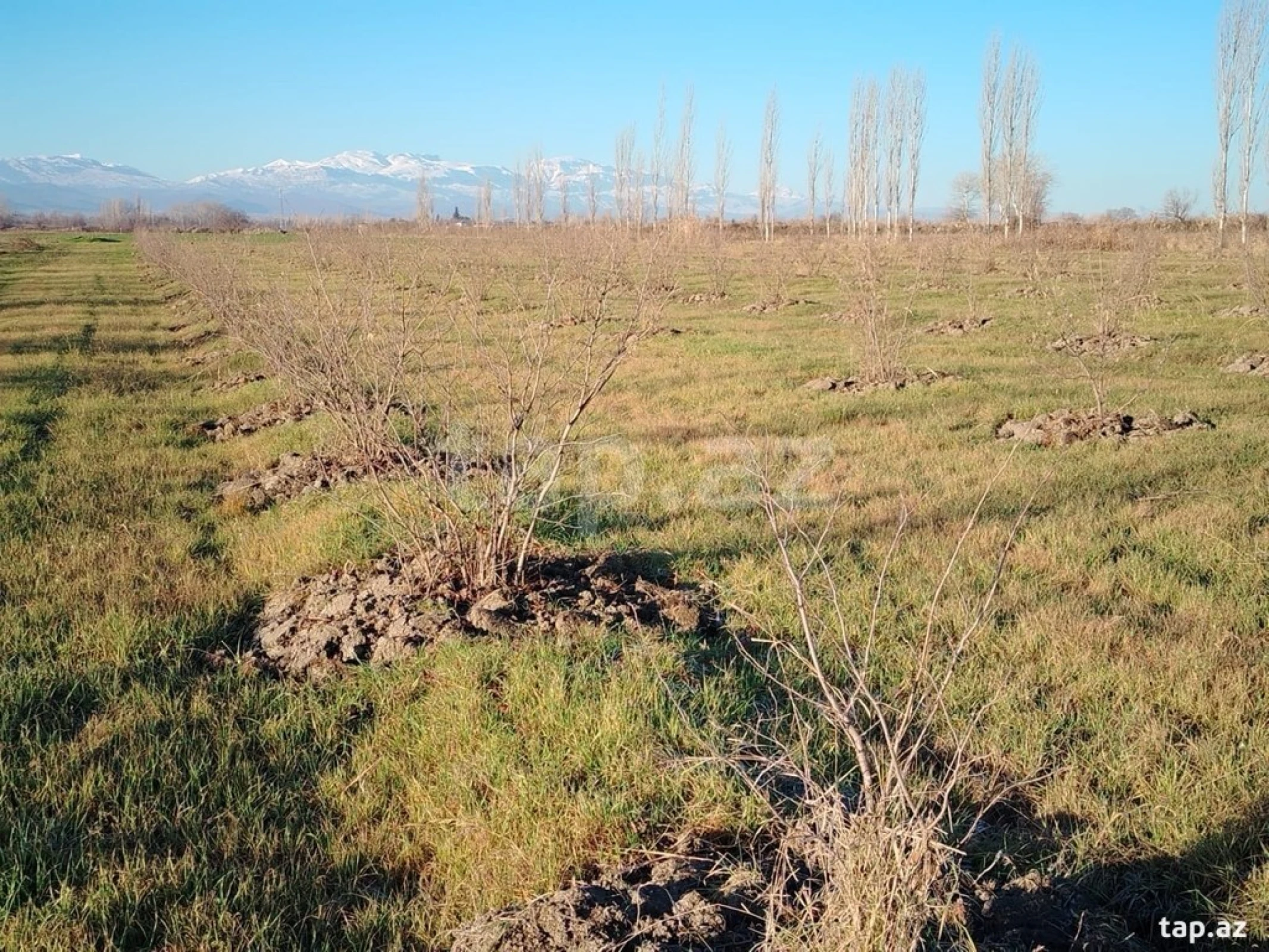 Satılır torpaq sahəsi