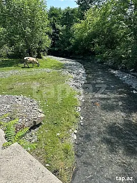 Satılır torpaq sahəsi — Qəbələ