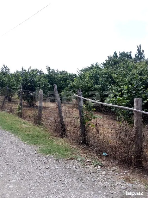 Satılır torpaq sahəsi