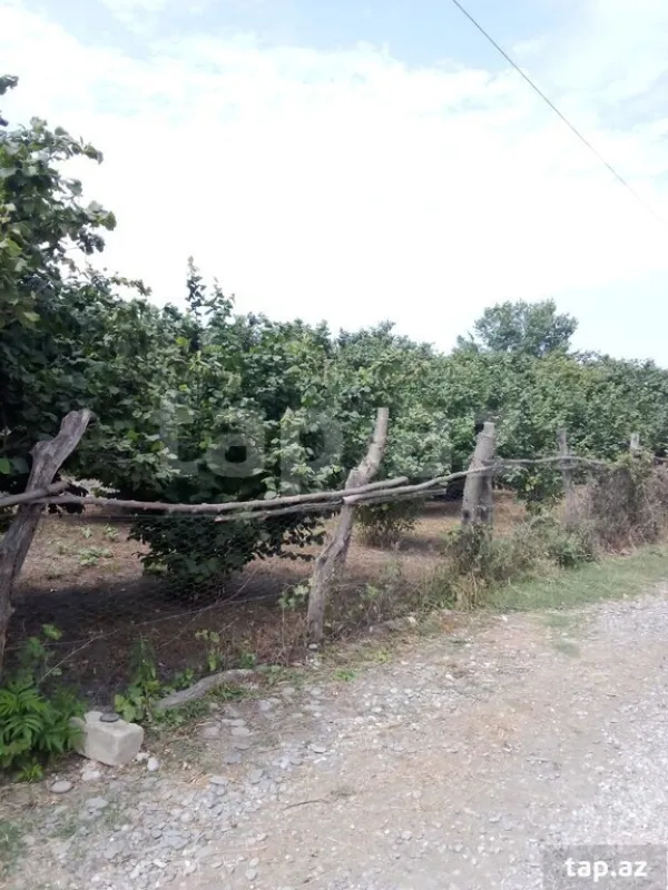 Satılır torpaq sahəsi