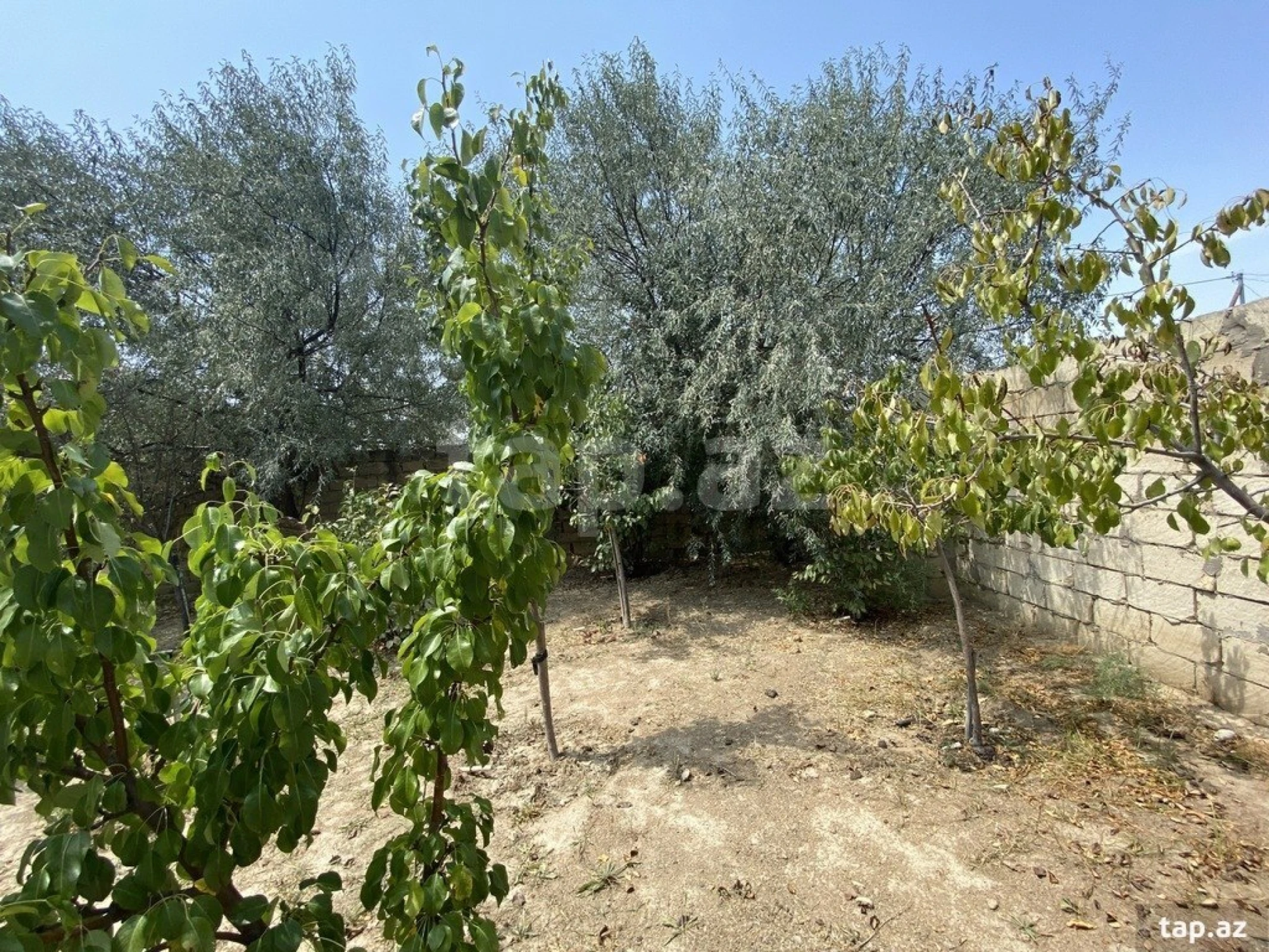 Satılır 4 otaqlı həyət evi