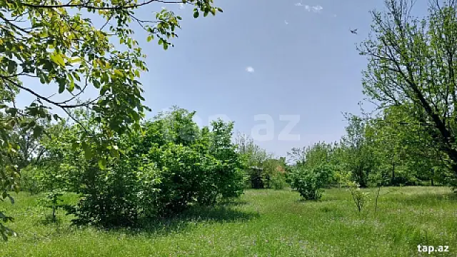 Satılır torpaq sahəsi — Qəbələ