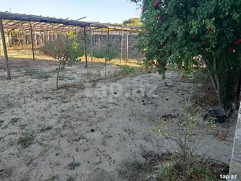 Satılır torpaq sahəsi — Bakı, Buzovna