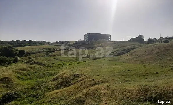 Satılır torpaq sahəsi — Şamaxı