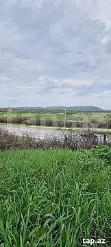 Satılır torpaq sahəsi — İsmayıllı