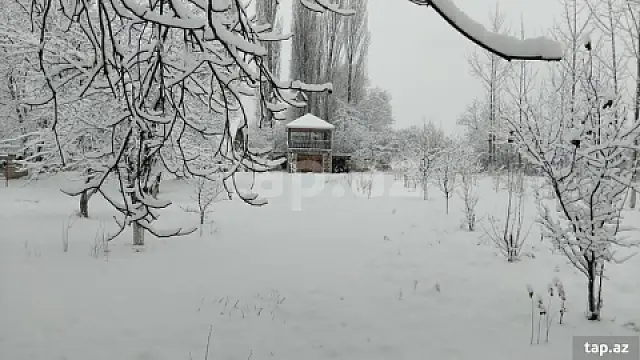 Kirayə verilir 2 otaqlı həyət evi