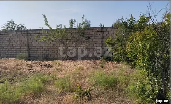 Satılır torpaq sahəsi — Qusar