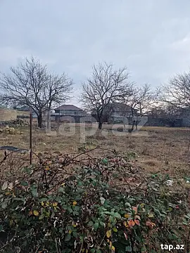 Satılır torpaq sahəsi