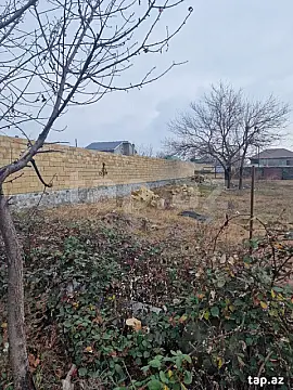 Satılır torpaq sahəsi — Qax