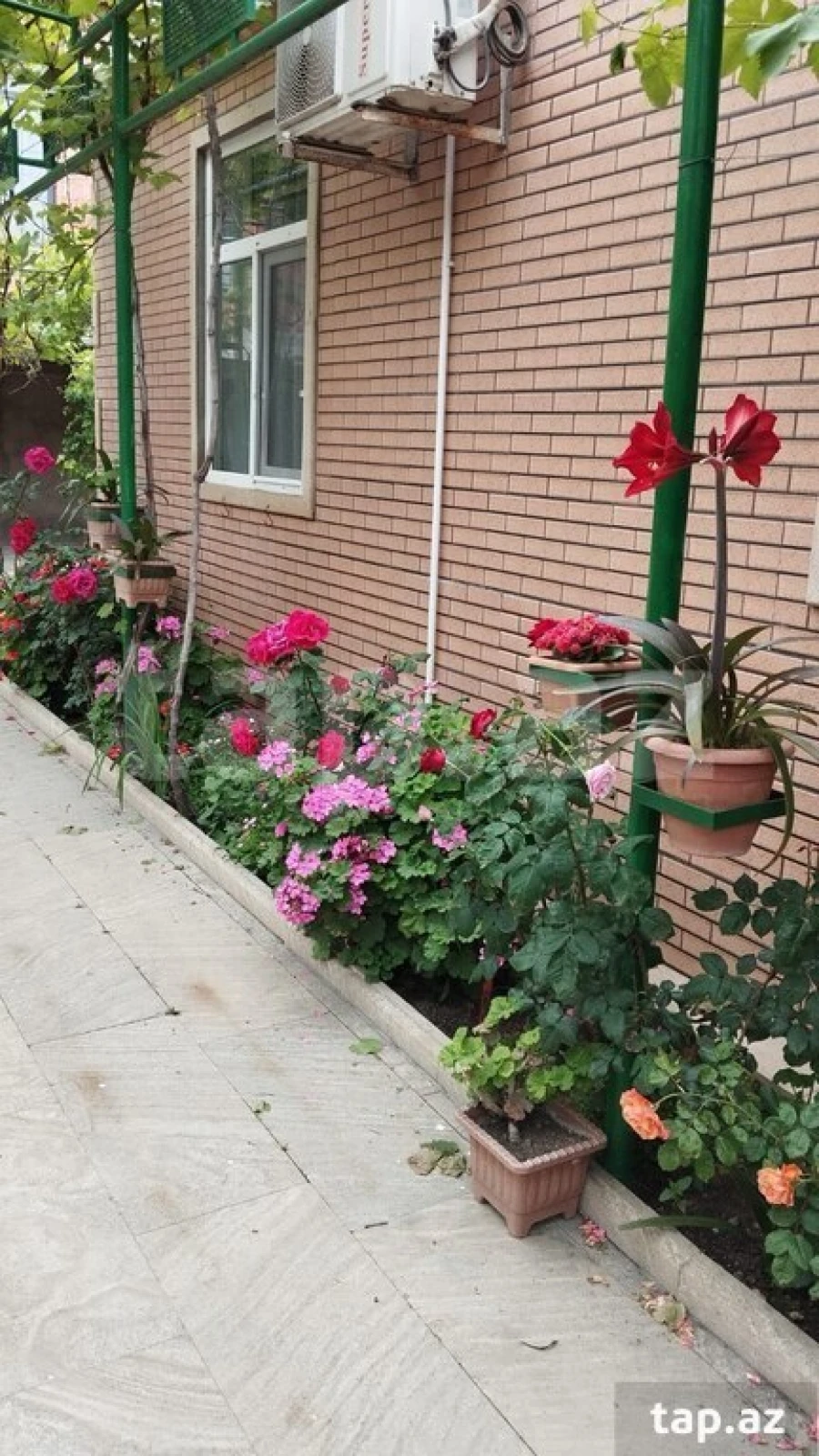 Satılır 9 otaqlı həyət evi 250 m²