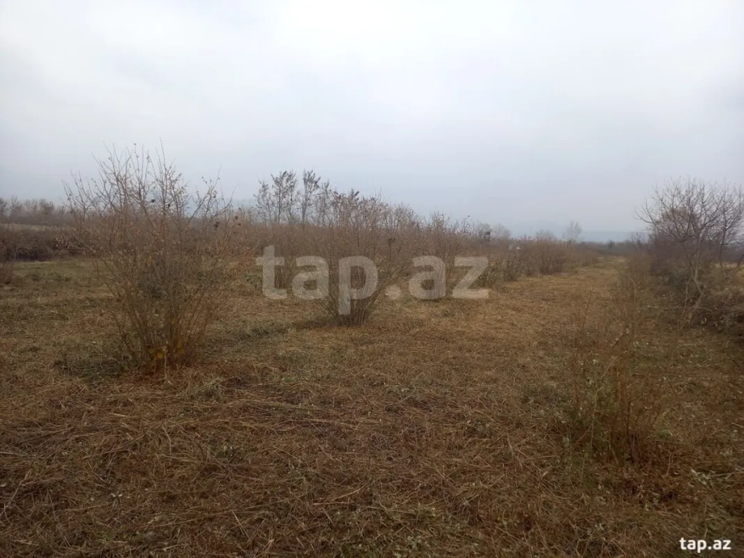 Satılır torpaq sahəsi