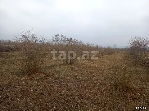 Satılır torpaq sahəsi