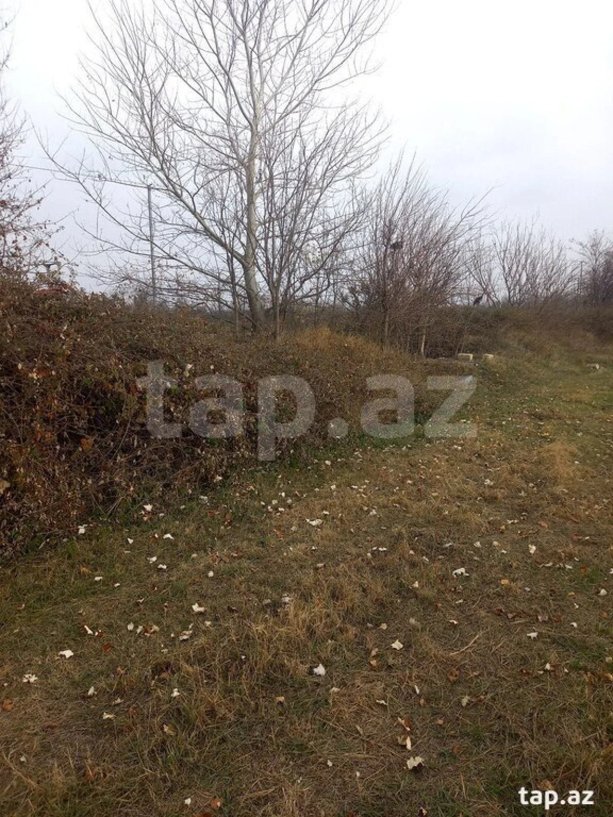 Satılır torpaq sahəsi