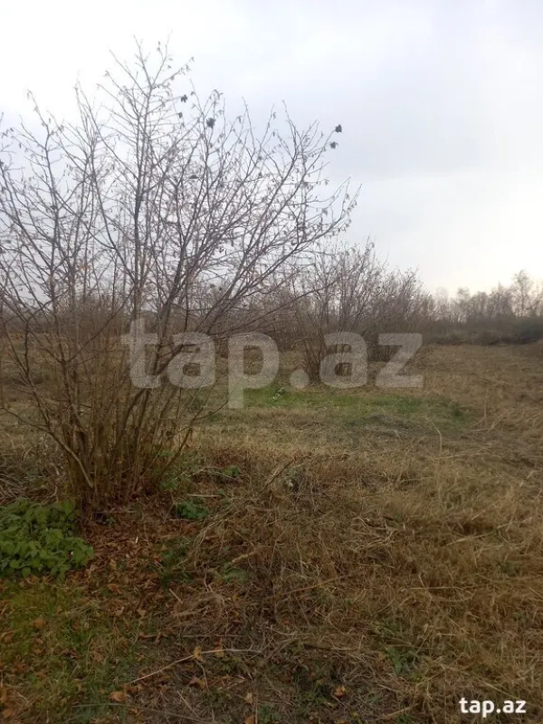 Satılır torpaq sahəsi