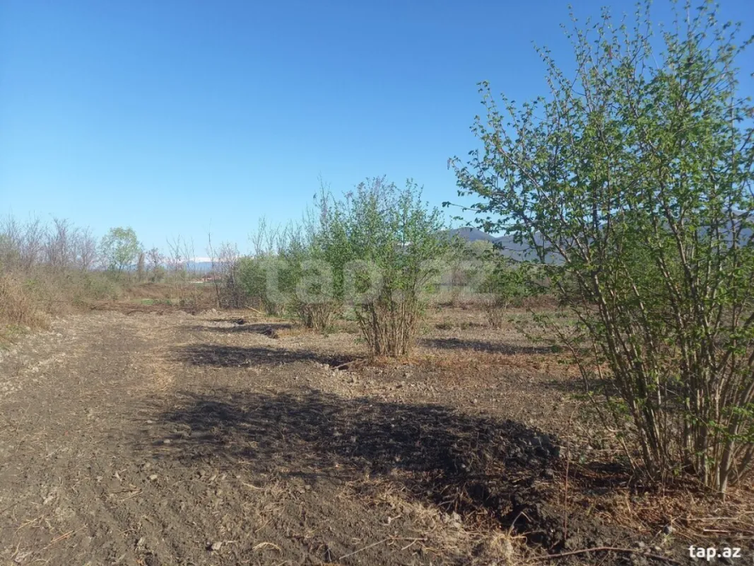 Satılır torpaq sahəsi