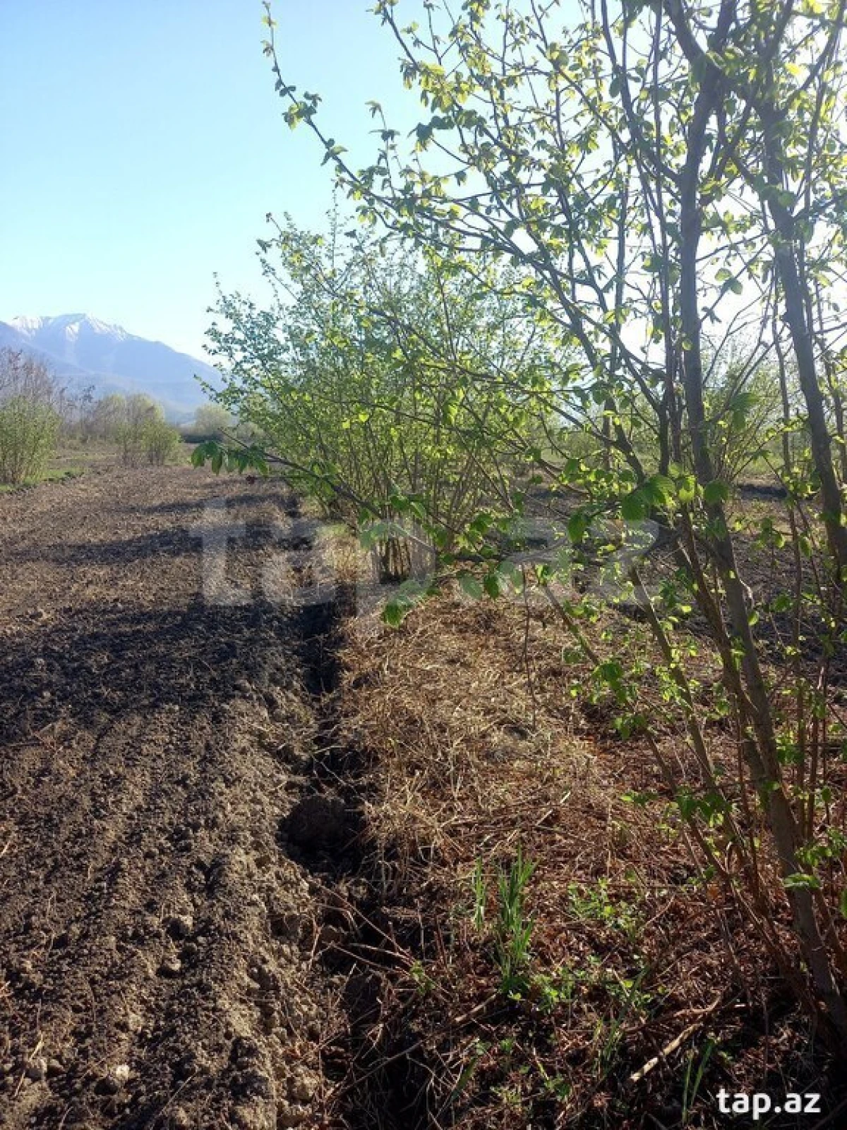 Satılır torpaq sahəsi