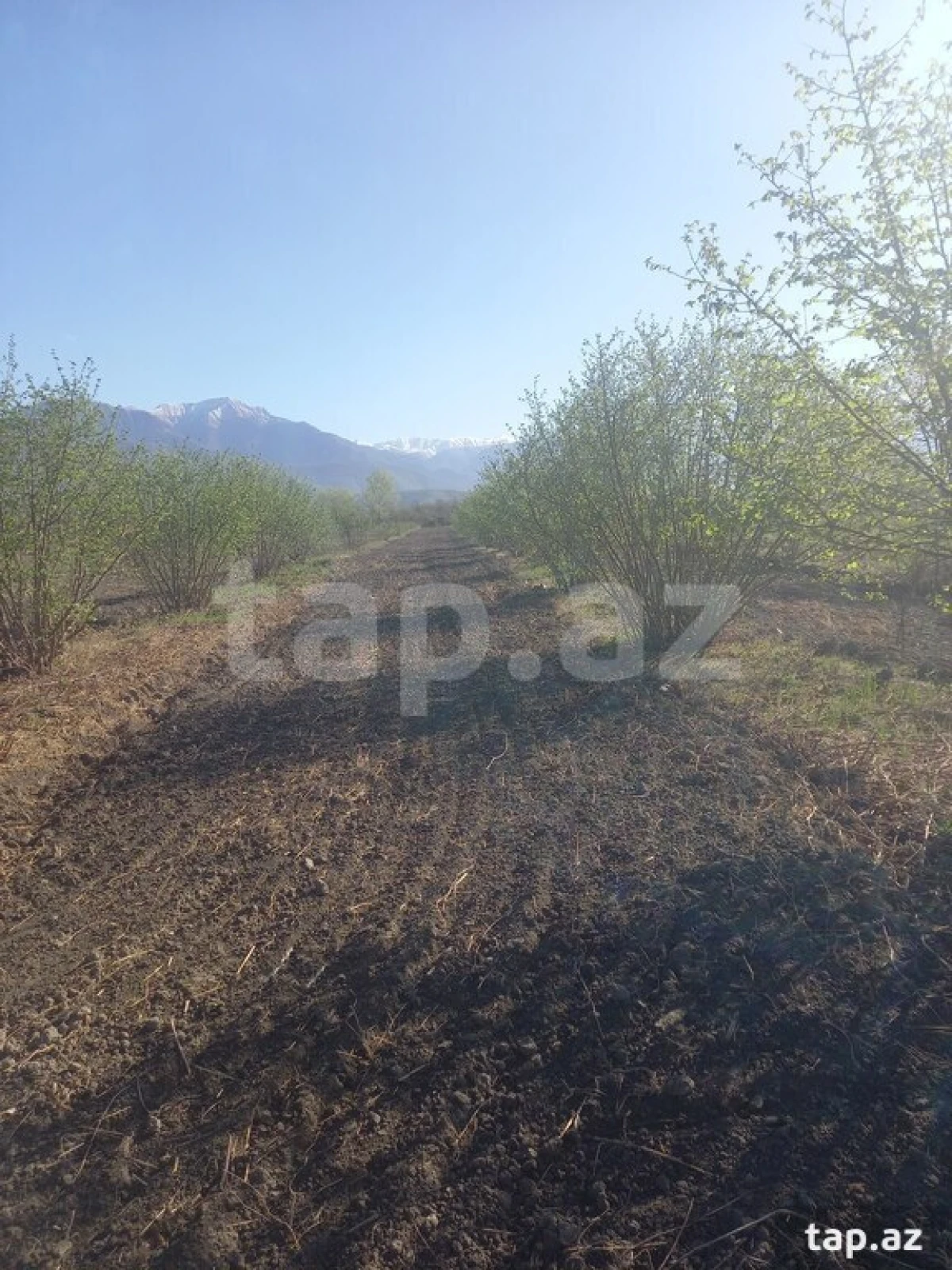 Satılır torpaq sahəsi