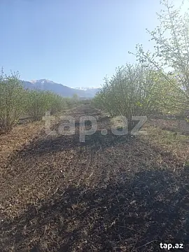 Satılır torpaq sahəsi — Şəki