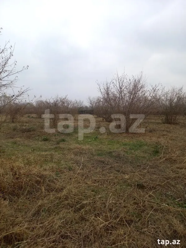 Satılır torpaq sahəsi