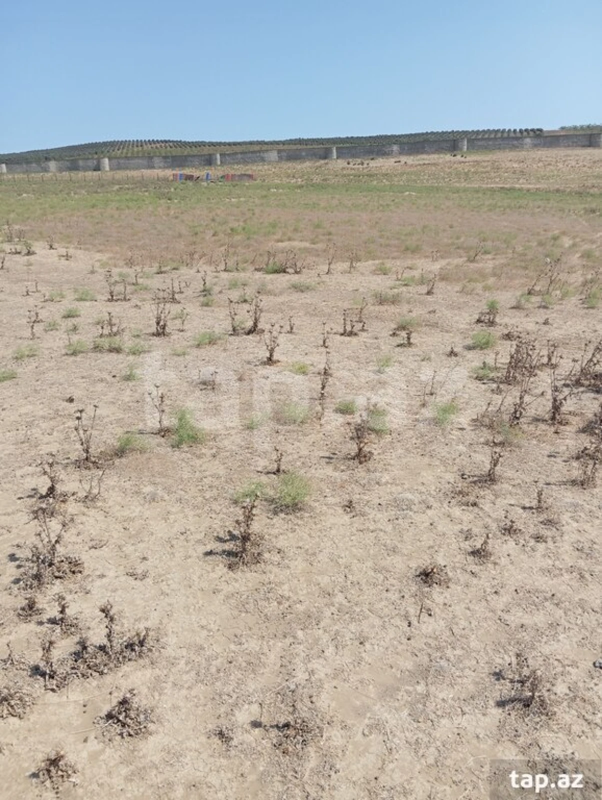 Satılır torpaq sahəsi