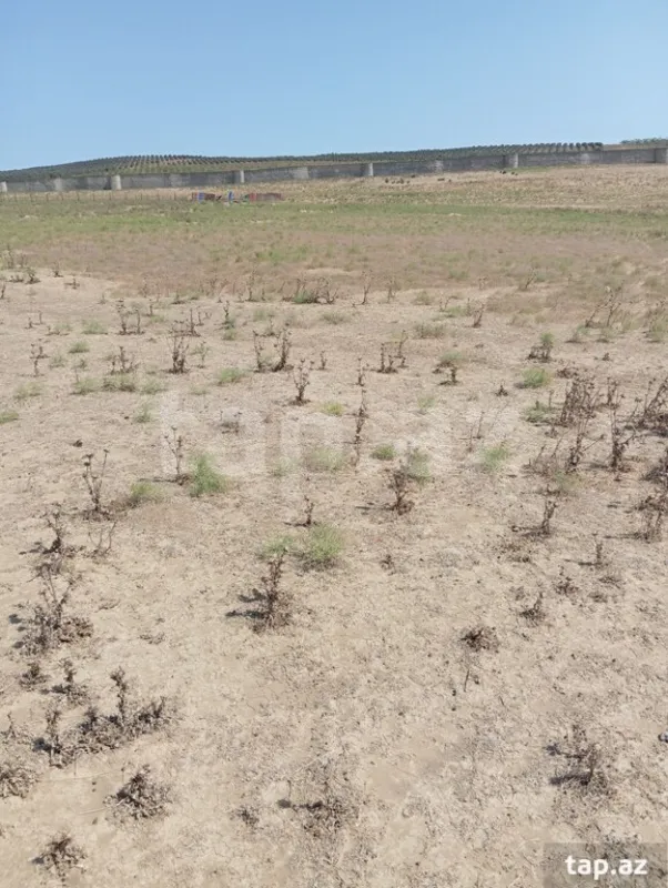 Satılır torpaq sahəsi