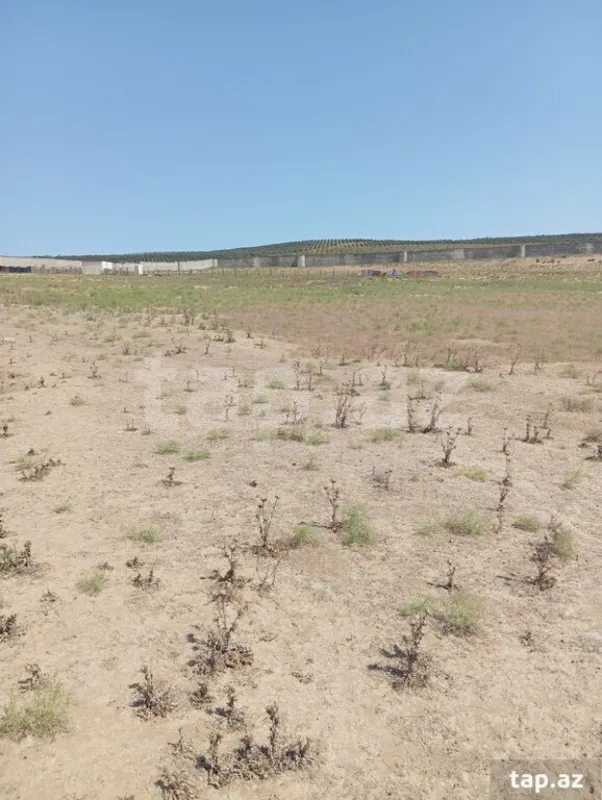 Satılır torpaq sahəsi