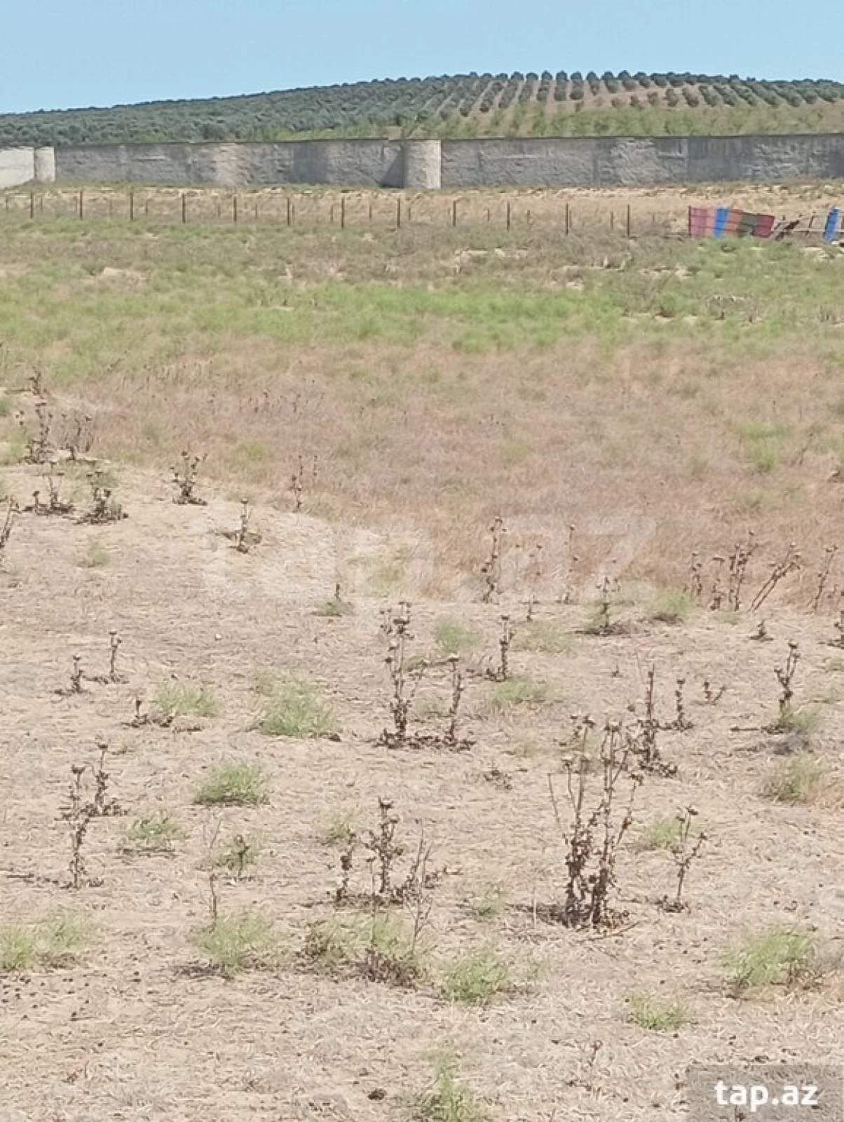 Satılır torpaq sahəsi