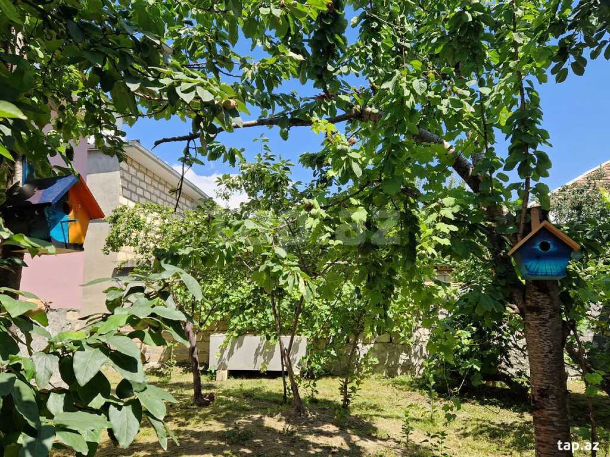 Kirayə verilir 5 otaqlı həyət evi