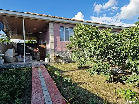 Kirayə verilir 5 otaqlı həyət evi — Şəki 5 otaq