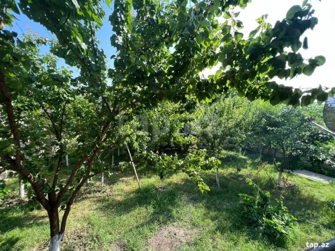 Kirayə verilir 3 otaqlı həyət evi