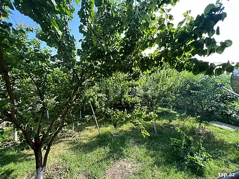 Kirayə verilir 3 otaqlı həyət evi