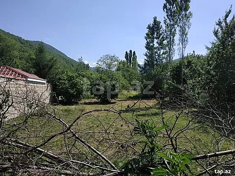 Satılır torpaq sahəsi — Qax