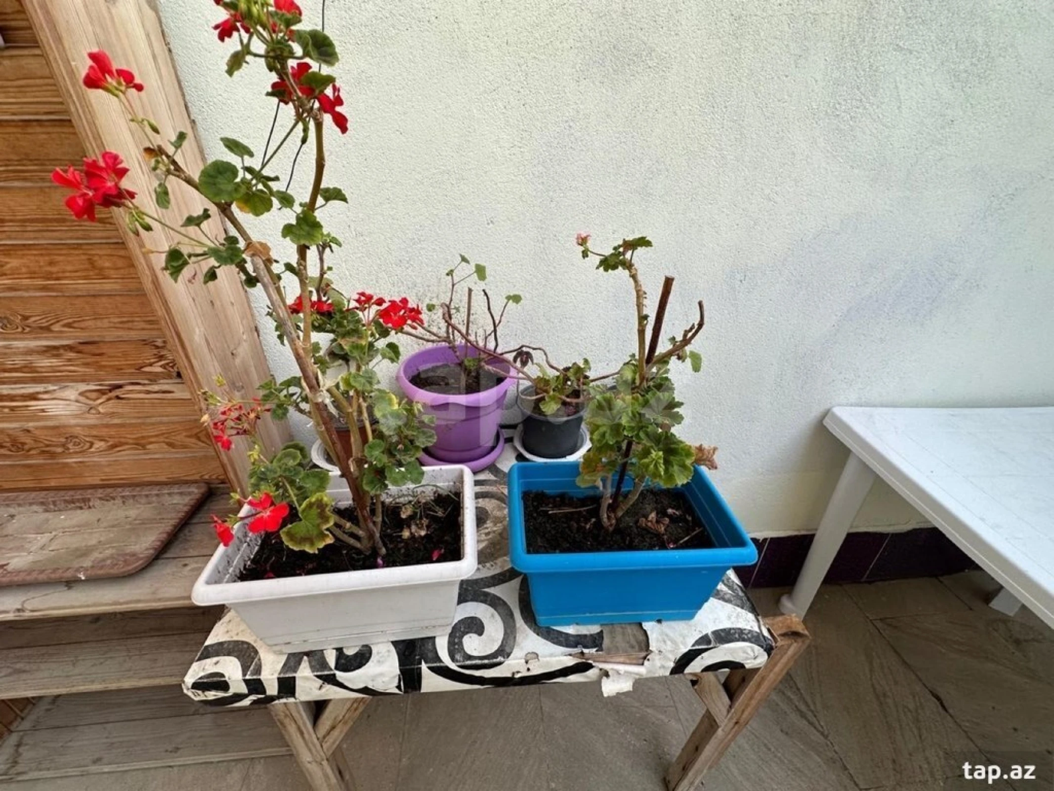 Kirayə verilir 3 otaqlı həyət evi 86 m²