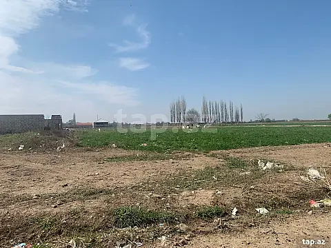 Satılır torpaq sahəsi — Samux