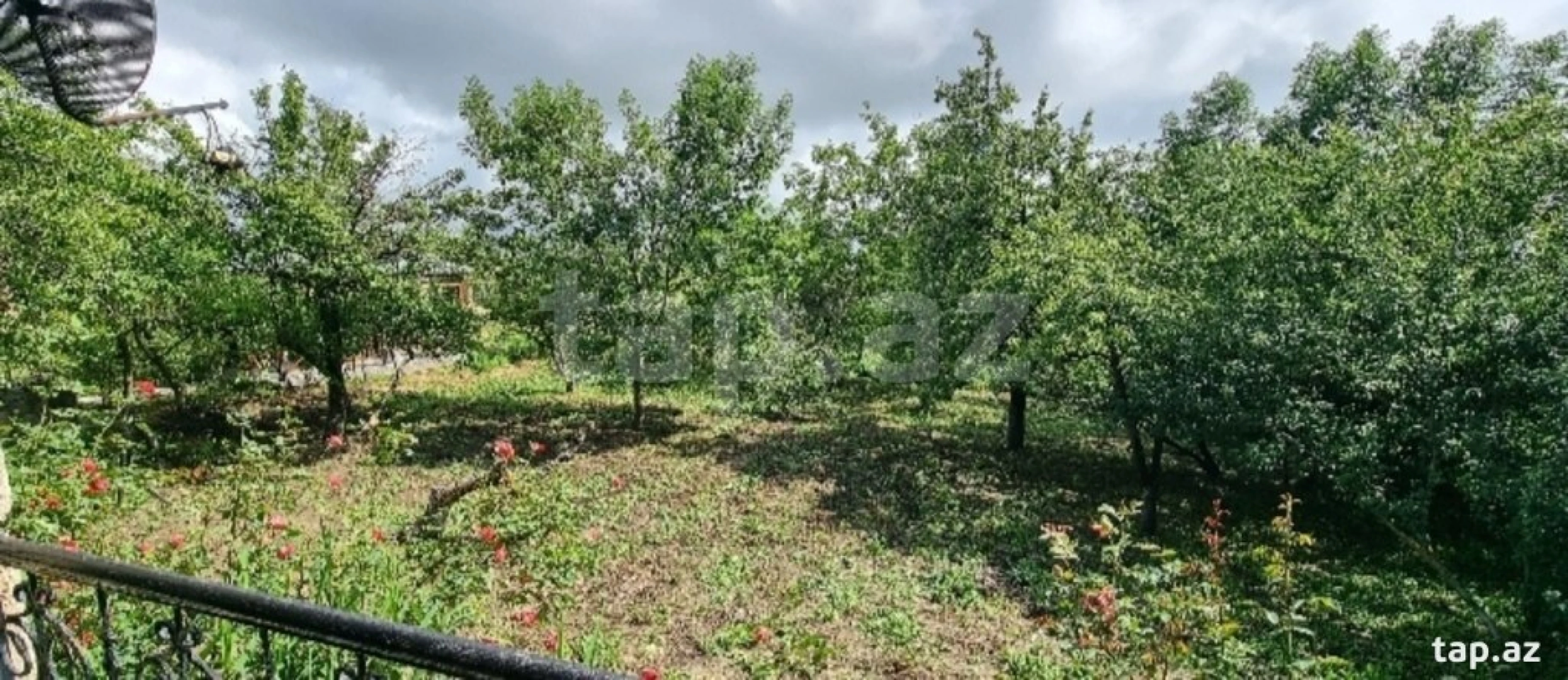 Satılır 4 otaqlı həyət evi