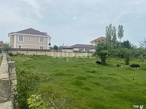 Satılır torpaq sahəsi — Xaçmaz
