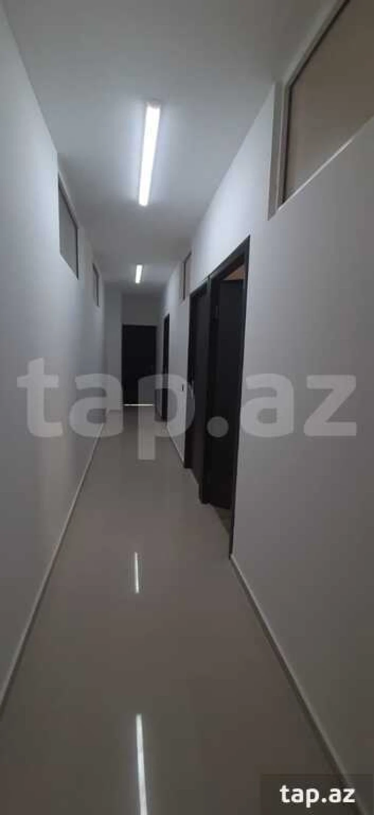 Kirayə verilir ofis