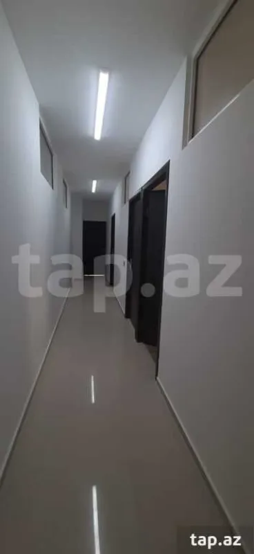 Kirayə verilir ofis