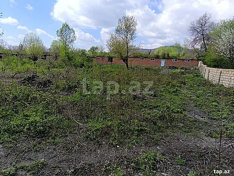 Satılır torpaq sahəsi — Qəbələ